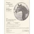 smart arabian horses 1972 khari khemosabi carin...