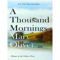A Thousand Mornings