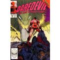 Daredevil (Vol 1) # 265 NM MODERN AGE COMICS