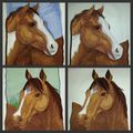 Horse Portrait Embroidered Iron On Patches