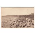 The Sands & Promenade Colwyn Bay Postcard Denbi...