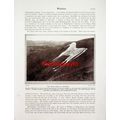 White Horse, Westbury, Wiltshire, Book Illustra...