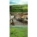 Trelleborg Frykat Viking Fortress New Zealand B...