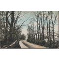 Grove Road, Swindon, Wiltshire, 1905 - Valentin...