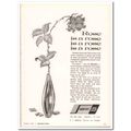 superior leasing company 1967 rose gertrude ste...