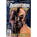 Animal Man (Vol 2) # 004 NM MODERN AGE COMICS