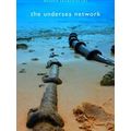 Undersea Network
