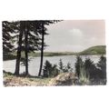 AM SORPESEE, GERMANY unused vintage postcard =