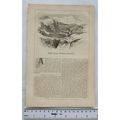 1842 The Dog-field Sports No. 2