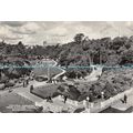 D024696 Central Gardens from Pavilion Terrace. ...