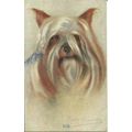 Art PERSIS KIRMSE "Bob" Postcard (Celesque 988)
