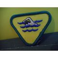 Boy Scouts Swimming Merit Badge