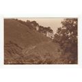 The Goat Path Watcombe Postcard Devon Judges 6735