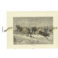Elk Hunt, Book Illustration (Print), 1884