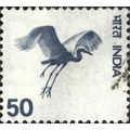 INDIA, BIRD, Virgin Crane, Anthropoides virgo, ...