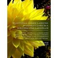 Traditional Chinese Medicine: A Woman's Guide t...