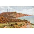 Salmon Postcard Sidmouth from Peak Hill AR Quinton
