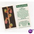 Brooke Bond Tea card Woodland Wildlife series n...