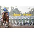 DVD - BEST of SANTA ANITA 1997...SILVER CHARM/F...