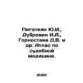 Yu.I. Pigolkin, I.A. Dubrovin, D. Gornostaev, V...