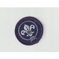 Scout Membership Badge - Non UK?? - Black Back ...