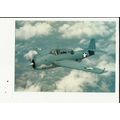 Aviation GRUMMAN TBF-1 AVENGER Postcard by John...