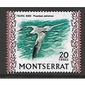 MONTSERRAT 1970 20c RED BILLED TROPIC BIRD SG 2...