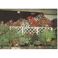 Chelsea Flower Show Postcard - Collection Of Si...