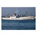 SQ0903 - Blue Star Line Cargo Ship - Queensland...