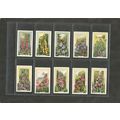 Cigarette Cards Gallaher Wild Flowers 1939 Full...