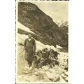 Animals ST BERNARD DOGS Postcard (Perrochet 5407)