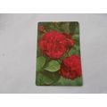 WEBBS GARDENING CARD / MOSS ROSE 16) (21/06)