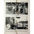 Bananas From Jamaica (Tobacco & Women Workers S...