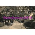 Hitchin Road, Whitwell, Herts, Postcard 1914
