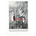 Atayal Hunters, Formosa (Taiwan), Book Illustra...