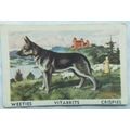 Australian Vitabrits Weeties Tailwaggers 58 Als...