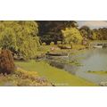 Fritton Lake Gardens Suffolk Lovers In Rowing S...