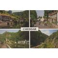 Cheddar Somerset Craft Gift Shop Postcard