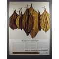 1964 Wills Castella Cigars Ad - Recipe for a mild cigar