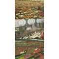 Amsterdam Holland World Flower Centre Displays ...