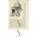 Front In Dearborn Avenue, Chicago, USA, Book Il...