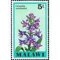 Malawi 1979 5t Calanthe Natalensis Orchid Unmou...