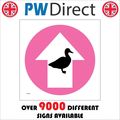 SIGN DUCKS NORTH STARIGHT AHEAD ARROW CIRCLE PI...