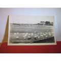 THE HARBOUR, BEMBRIDGE, ISLE OF WIGHT .used pos...
