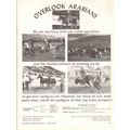overlook arabians 1972 sachet mirzaz saibu gaff...