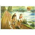 Advertising PHILLIPS CYCLES Postcard (Mayfair B...