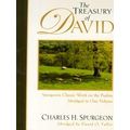 The Treasury Of David