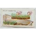 1923 Wills Gardening Hints No. 21 raising early...