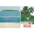 Boduhithi Maldives QSL Amateur Radio Postcard Card