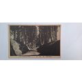 A ROW OF CRYPTOMERIAS, NIKKO. 1933 - 1945 (126)